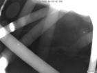 Webcam Peschiera, Fraglia Vela Peschiera